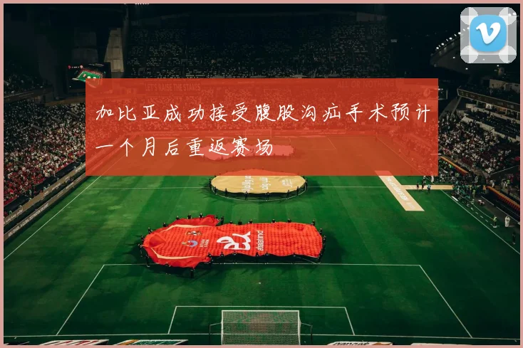 加比亚成功接受腹股沟疝手术预计一个月后重返赛场