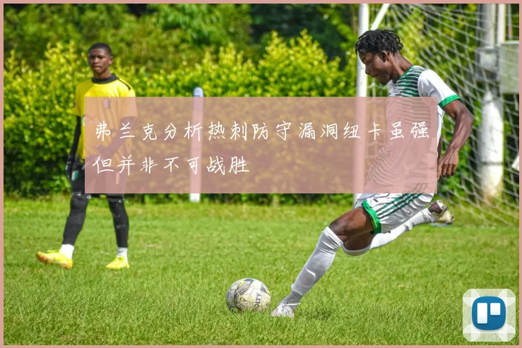 弗兰克分析热刺防守漏洞纽卡虽强但并非不可战胜